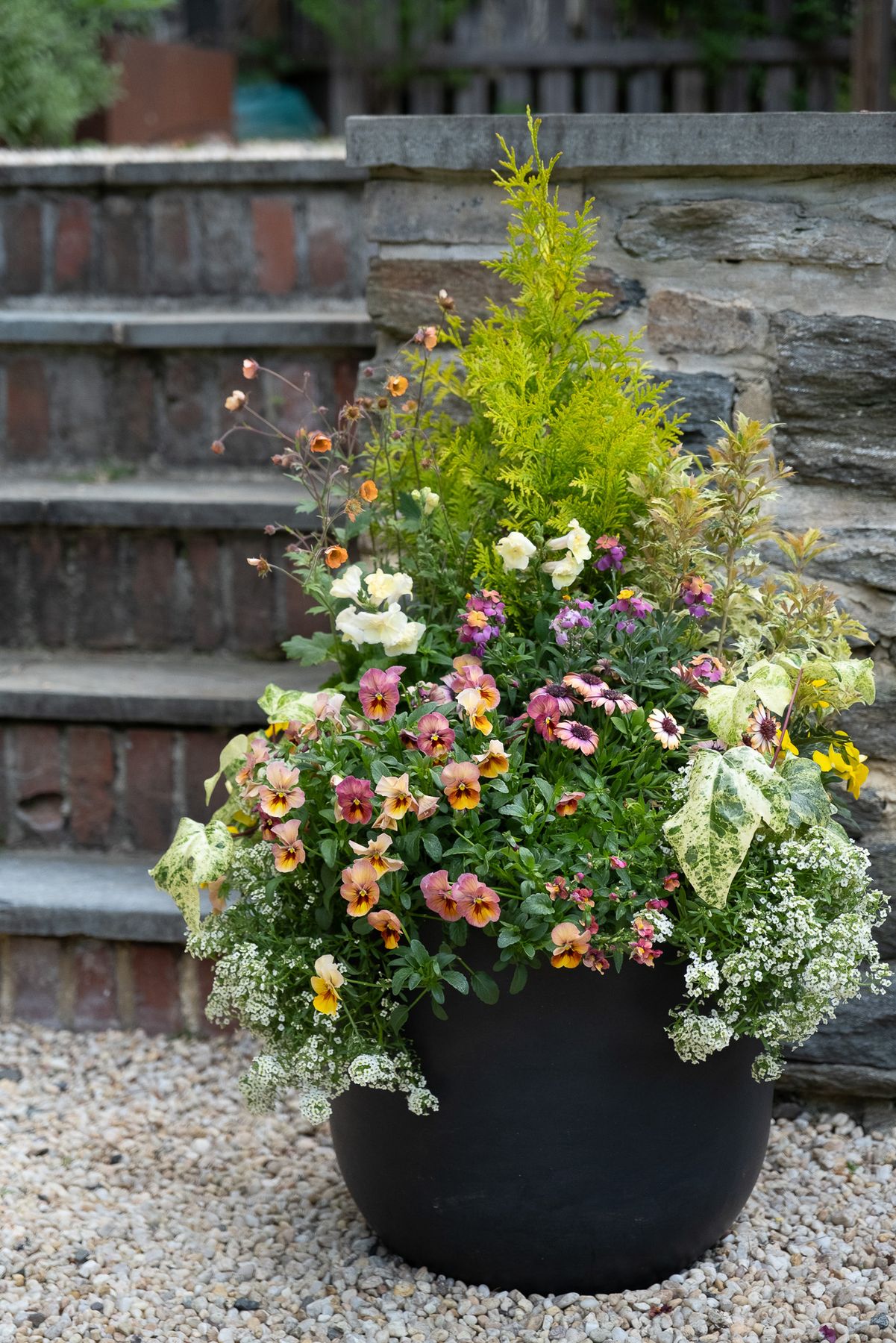 Enliven Planters spring container arrangement